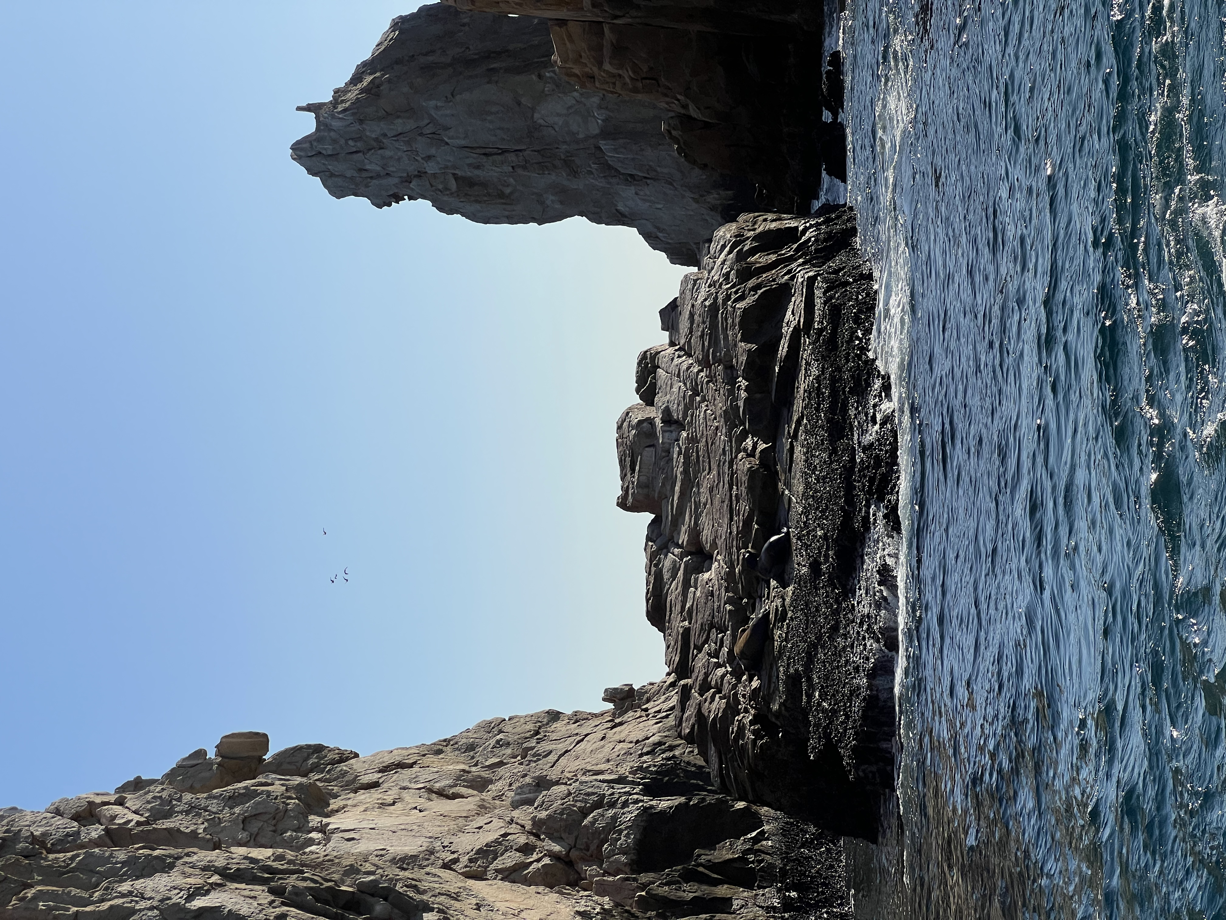 ./2024/13 - Cabo/IMG_4648.jpg